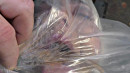 Swathed In Plastic gallery from SENSUALPAIN - #2