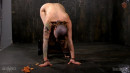 Strength And Endurance The Chain gallery from SENSUALPAIN - #8