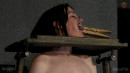Hot Twat Pillory gallery from SENSUALPAIN - #12