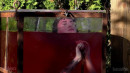 Water Vessel Breathplay In Red gallery from SENSUALPAIN - #4