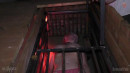 Cadence Of Surrender gallery from SENSUALPAIN - #10