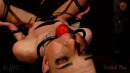 Trapped gallery from SENSUALPAIN - #14