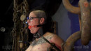 Danes In Pain Part 2 gallery from SENSUALPAIN - #2