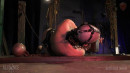 Black Cock Bound gallery from SENSUALPAIN - #9
