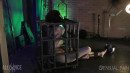 Caged Predicaments gallery from SENSUALPAIN - #8