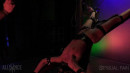 Inverted Cross Bed O Nails gallery from SENSUALPAIN - #2