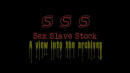 Sex Slave Stock Slut Training 1 gallery from SENSUALPAIN - #3