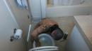 Just A Slave Cleaning Toilet gallery from SENSUALPAIN - #1