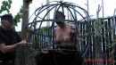 Sphere Cage Fuckery At Dusk gallery from SENSUALPAIN - #14