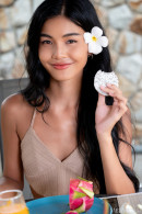Vina Rae in Exotic Taste gallery from METART by Robert Graham - #3