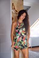 Vixi Rafi in Wild About Her gallery from METART by Erro - #9