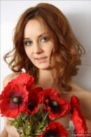 Olivia in Field of Poppies gallery from MPLSTUDIOS by Michael Maker - #15