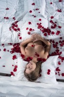 Presley in Rose Petals gallery from X-ART by Brigham Field - #12