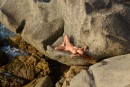 Sarka in On The Rocks 2 gallery from EROTICBEAUTY by Charles Hollander - #10