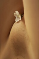 Kira W in Sexual Scent gallery from THELIFEEROTIC by Natasha Schon - #12