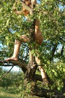 Alizeya A in Tree Monkey 3 gallery from EROTICBEAUTY by Rafael Novak - #5