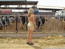 Amanda in Farm-Pics gallery from NUBILES - #16