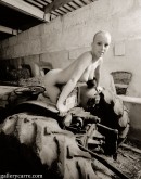 Megane in Old Tractor gallery from GALLERY-CARRE by Didier Carre - #2