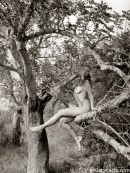 Janette in In A Tree gallery from GALLERY-CARRE by Didier Carre - #3