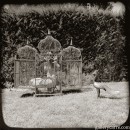 Kitty in In A Bird Cage gallery from GALLERY-CARRE by Didier Carre - #3