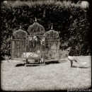 Kitty in In A Bird Cage gallery from GALLERY-CARRE by Didier Carre - #5