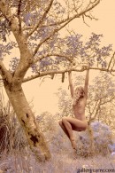 Daphnee in Trees gallery from GALLERY-CARRE by Didier Carre - #1