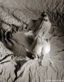 Edita in On The Floor gallery from GALLERY-CARRE by Didier Carre - #2