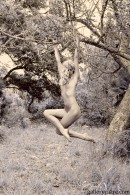 Daphnee in Trees gallery from GALLERY-CARRE by Didier Carre - #2