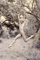 Daphnee in Trees gallery from GALLERY-CARRE by Didier Carre - #8