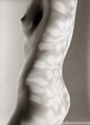 Juliette in Body Art gallery from GALLERY-CARRE by Didier Carre - #2