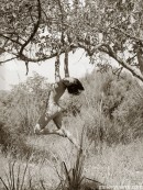 Amy in Under The Tree gallery from GALLERY-CARRE by Didier Carre - #3