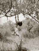 Amy in Under The Tree gallery from GALLERY-CARRE by Didier Carre - #4