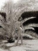 Janine May in Palm Tree gallery from GALLERY-CARRE by Didier Carre - #3