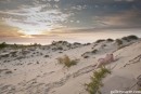 Diana in Sunset gallery from GALLERY-CARRE by Didier Carre - #10