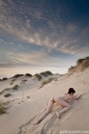 Diana in Sunset gallery from GALLERY-CARRE by Didier Carre - #2