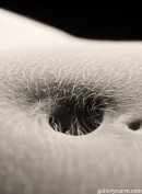 Josephine in Belly Button gallery from GALLERY-CARRE by Didier Carre - #6