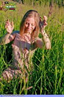 Alyse Naked Teen In The Grass gallery from SECRETNUDISTGIRLS by DavidNudesWorld - #10