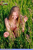 Alyse Naked Teen In The Grass gallery from SECRETNUDISTGIRLS by DavidNudesWorld - #15
