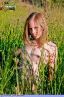 Alyse Naked Teen In The Grass gallery from SECRETNUDISTGIRLS by DavidNudesWorld - #8