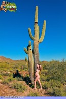Ashley Haven Nude And Pregnant gallery from SECRETNUDISTGIRLS by DavidNudesWorld - #5