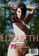 Elizabeth Presents Dominating gallery from SWEETNATURENUDES by David Weisenbarger - #4