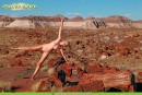 Tatyana Presents Naked Poses With Petrified Wood gallery from SWEETNATURENUDES by David Weisenbarger - #7