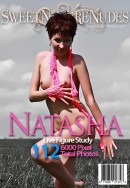 Natasha Presents Photo Package gallery from SWEETNATURENUDES by David Weisenbarger - #14