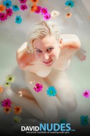 Amber in White Bath gallery from DAVID-NUDES by David Weisenbarger - #13