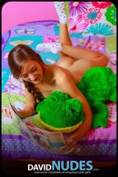 Claire in My Pretty Froggy gallery from DAVID-NUDES by David Weisenbarger - #11