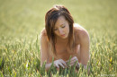 Daisy in Cornfield Hideaway gallery from FEMJOY by Richard Williams - #7