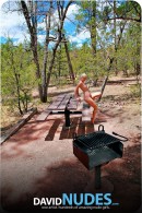 Tatyana Wanna BBQ With Me gallery from DAVID-NUDES by David Weisenbarger - #7