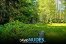 Tatyana Silver Maples Pack 1 gallery from DAVID-NUDES by David Weisenbarger - #14