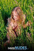 Alyse Naked Teen In The Grass gallery from DAVID-NUDES by David Weisenbarger - #15