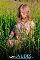 Alyse Naked Teen In The Grass gallery from DAVID-NUDES by David Weisenbarger - #3